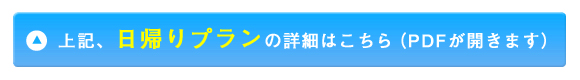 PDF詳細